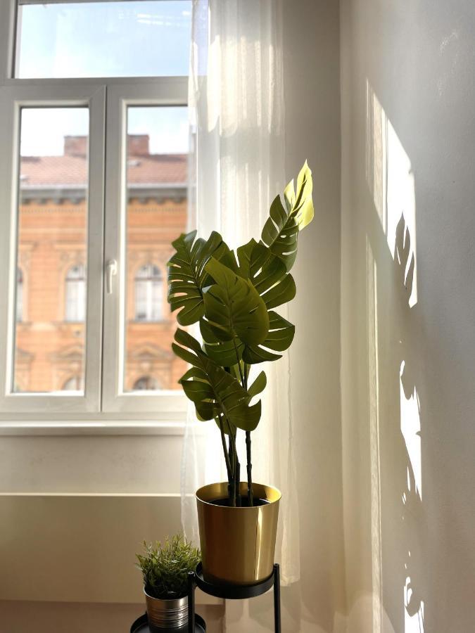 Eotvos 25 Apartment Budapest Eksteriør bilde